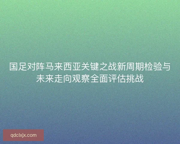 国足对阵马来西亚关键之战新周期检验与未来走向观察全面评估挑战