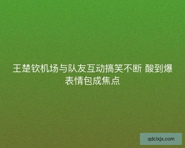 王楚钦机场与队友互动搞笑不断 酸到爆表情包成焦点